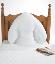 Load image into Gallery viewer, Harley Batwing Pillow