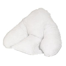 Load image into Gallery viewer, Harley Batwing Pillow