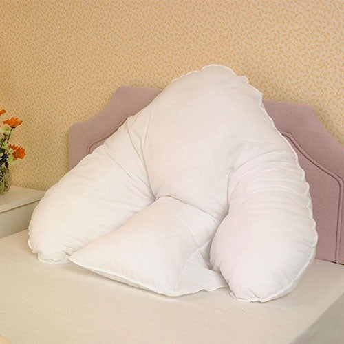 Harley batwing shop pillow